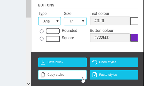 protip-copy-and-paste-styles-options