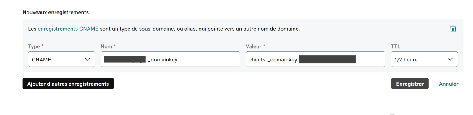 Collez la valeur du CNAME dans le nouvel enregistrement